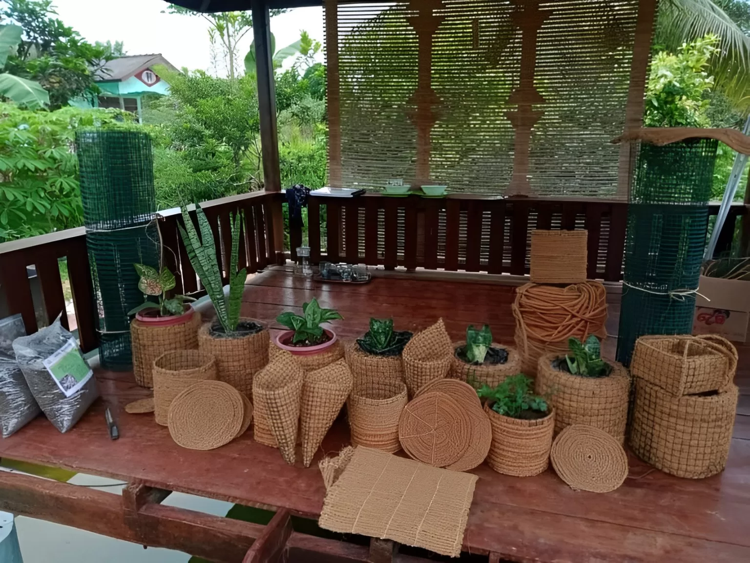 Turning Waste into Luxury