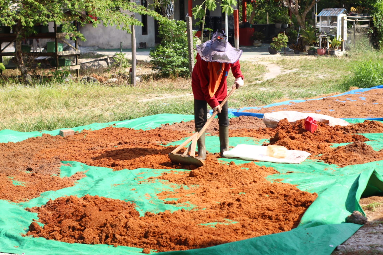Cocopeat Drying Process