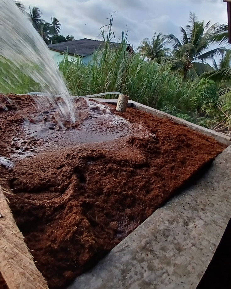 Cocopeat Soaking Process