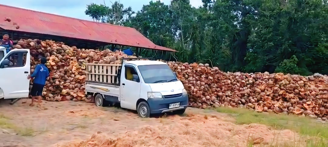 Coconut Husk Loading Process