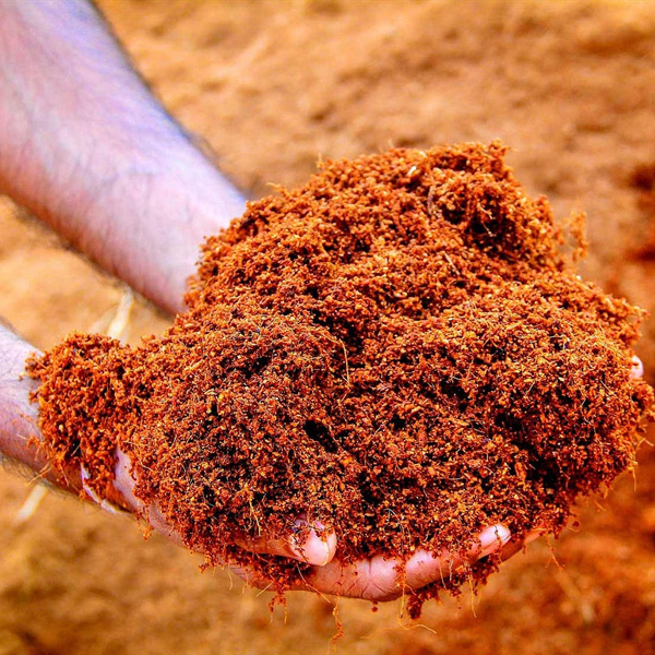 Cocopeat
