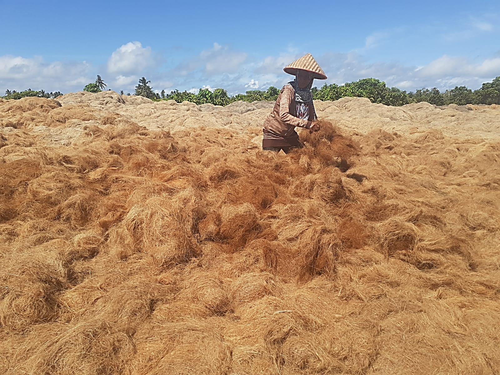 Cocofiber Production Stage
